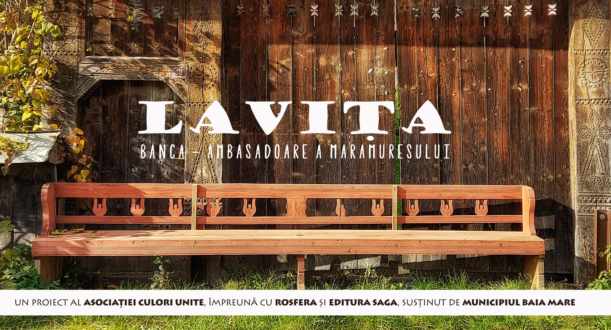 Lavita banner