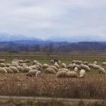 #Maramureș #vederedinCoruia cu #Chechiș în zare